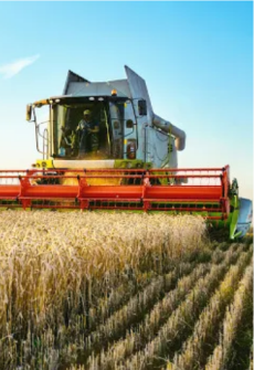 agro